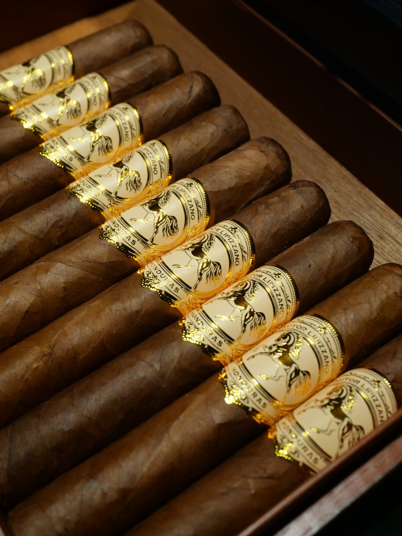 Caja de cedro con 20 puros Autor Lipizzano