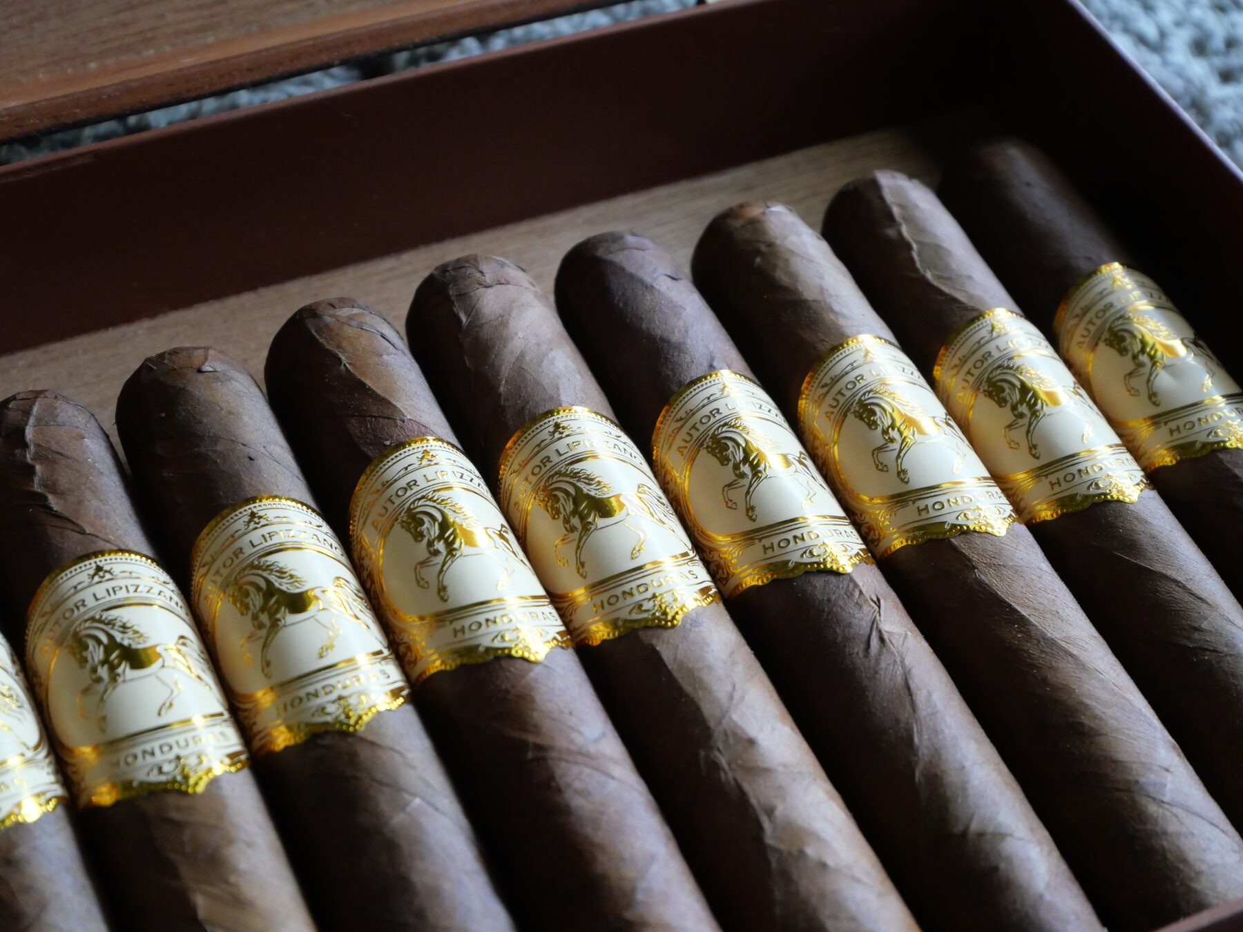 Puro Robusto Autor Lipizzano